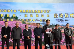 党建带团建 青春焕光彩