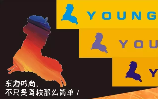 17.png